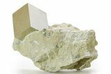 Natural Pyrite Cube In Rock - Navajun, Spain #361868-1